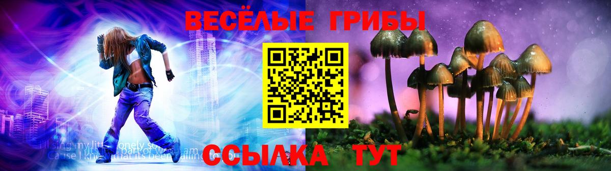 Кириши  Псилоцибиновые грибы мицелий  Псилоцибиновые грибы прущие грибы  закладки  Вход с VPN 